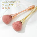 【最大20%OFFクーポン配布中!15日23:59まで】 メイクブラシ 可愛い かわいい チークブラシ フェイスブラシ クリアケース入り 持ち運び ハイライト ダストブラシ パウダーブラシ チーク ファンデーション メイク道具 化粧ブラシ やわらかい ア