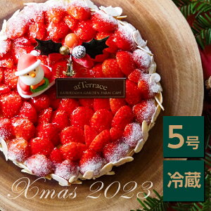【冷蔵・送料込・熨斗対応可】完熟いちごのクリスマスタルト5号 贅沢タルト 2023クリスマス ギフト ケーキ 誕生日プレゼント 洋菓子 お祝い お取り寄せ