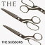 THE SCISSORS   Ϥ ϥ 顼2 Ĺ176mm ѶȢ° ǥڷ  ץ饹 ¤  о 饷   ץ   κ ̳ ơʥ꡼פ򸫤