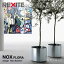 쥭 REXITE NOX Υå FLORA ե ǥRaul Barbieri 饦롦Хӥ 52cm 㥹ȭ° ƥ쥹 ץ󥿡 ʪ ȭ ȭС RCPۡsmtb-KD