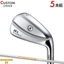 メーカー正規カスタムオーダー 本間ゴルフ ツアーワールド TW767 Hx アイアン 5本セット (#6-#9,PW) ダイナミックゴールド 95 シャフト装着...