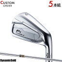メーカー正規カスタムオーダー 本間ゴルフ ツアーワールド TW767 Px アイアン 5本セット (#6-#9,PW) ダイナミックゴールド シャフト装着仕様 ...