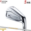 メーカー正規カスタムオーダー 本間ゴルフ ツアーワールド TW767 Px アイアン 5本セット (#6-#9,PW) ダイナミックゴールド 85 シャフト装着...
