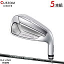 メーカー正規カスタムオーダー 女性用 ヤマハ インプレス ドライブスター レディース アイアン 2025年モデル 5本セット(#7-#9,PW,SW) ラウネ ...