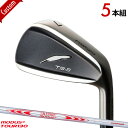 【カスタム】フォーティーン TB-5 フォージド アイアンライトブラックメッキ仕上げ5本セット (#6-#9,PW)N.S.PRO MODUS3 TOUR130 シャフト装着仕様#FOURTEEN#TB5_FORGED#シアターブレード#モーダス3ツアー130