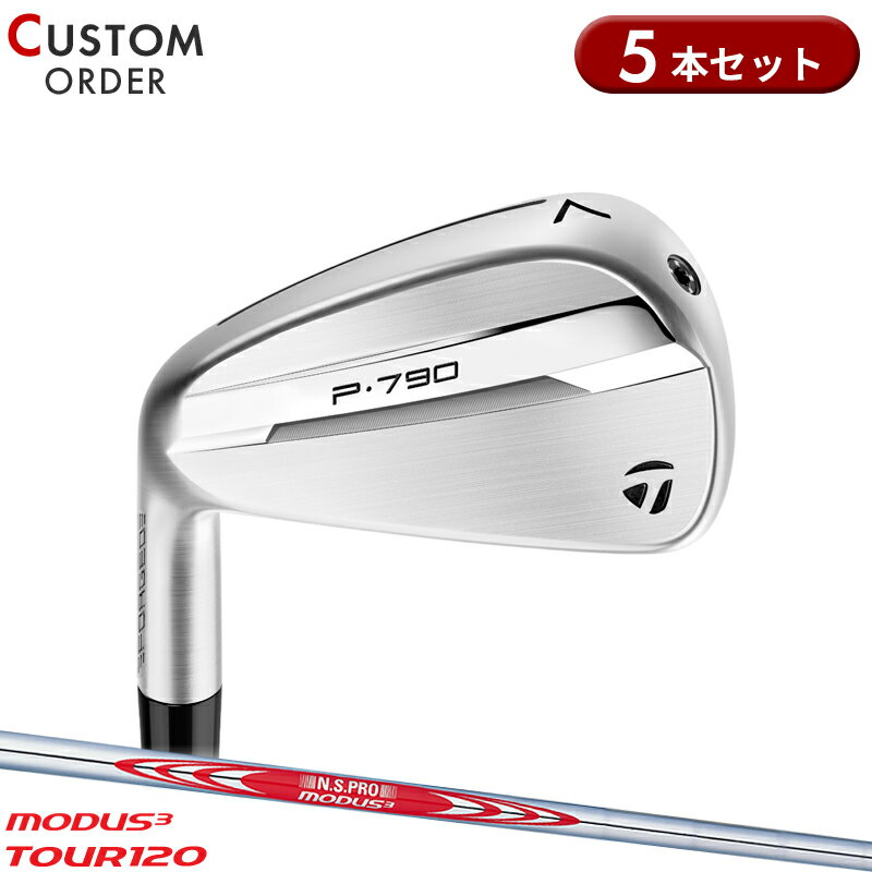 ᡼४  ơ顼ᥤ P790 󥻥å 5 NSץ ⡼3 ĥ120 륷ե ...