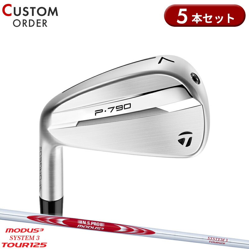 ᡼४  ơ顼ᥤ P790 󥻥å 5 NSץ ⡼3ƥ3ĥ125 륷...
