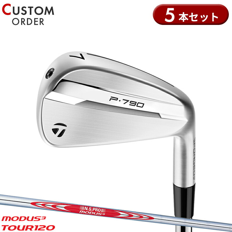᡼४ ơ顼ᥤ P790 󥻥å 5 NSץ ⡼3 ĥ120 륷ե Tay...