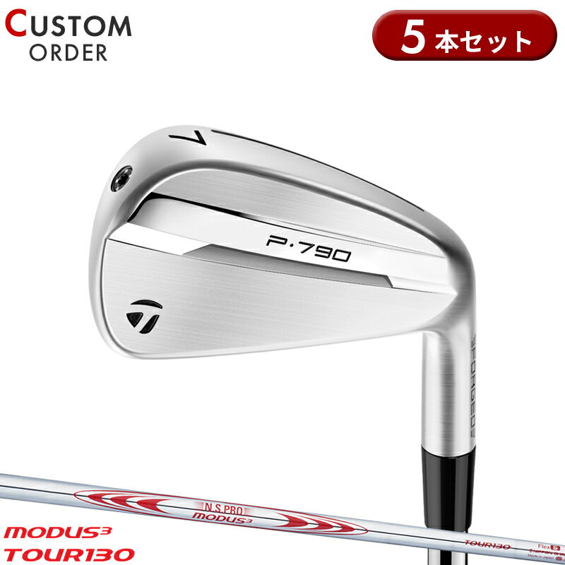 ᡼४ ơ顼ᥤ P790 󥻥å 5 NSץ ⡼3 ĥ130 륷ե Tay...