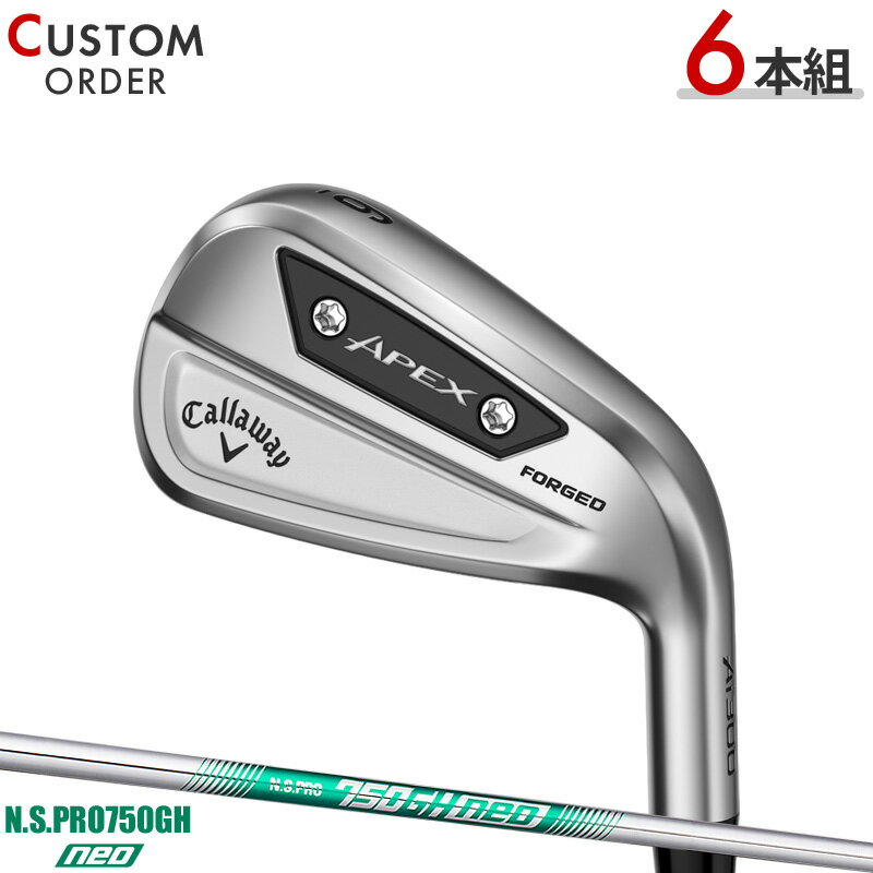 メーカー正規カスタムオーダー 女性用 キャロウェイ APEX Ai300 ウィメンズ アイアン 2024年モデル 6本セット (#5-#9,PW) N.S.PRO750GH neo シャフト装着仕様 Callaway エイペックス Ai-300 レディース NSプロ750GHネオ