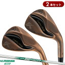 【即納】【2本セット】 キャスコ ドルフィンウェッジ DW-125G 銅メッキ仕上げ NSプロ 950GH ネオ スチールシャフトKASCO DOLPHINWE...