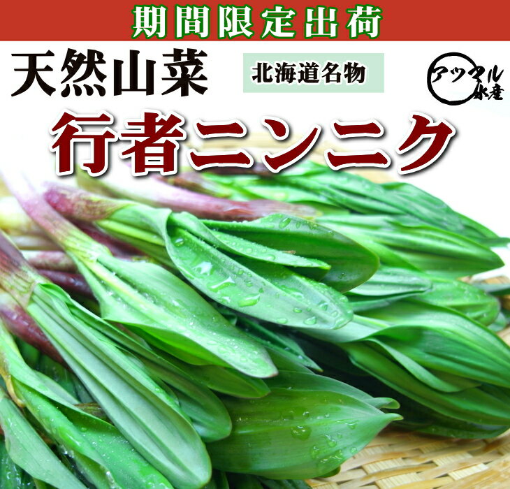 北海道天然もの【行者にんにく】3kg入/ヒトビロ【急速冷凍　長期保存可能】下処理なし