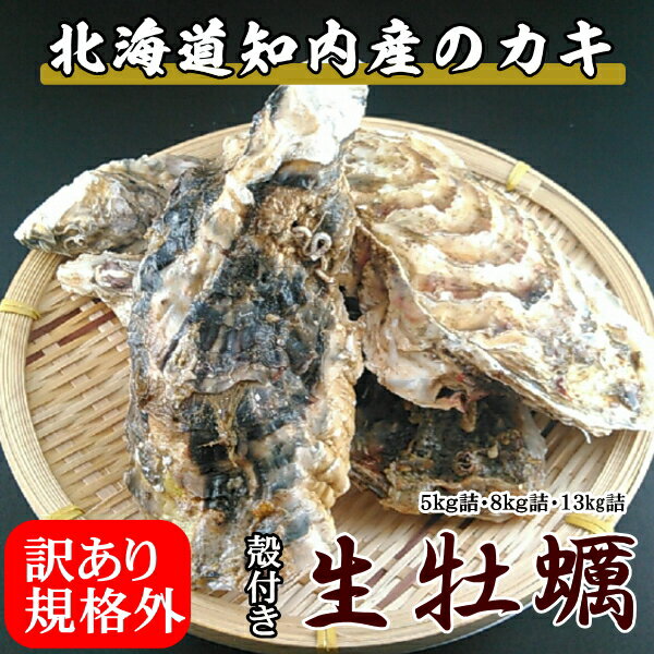 訳あり規格外牡蠣【8kg詰 サイズ混合 】/北海道/知内町/生牡蠣/殻付き/生食用/旨い牡蠣/