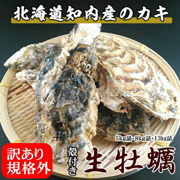 訳あり規格外牡蠣【8kg詰 サイズう混合 】/北海道/知内町/生牡蠣/殻付き/生食用/旨い牡蠣