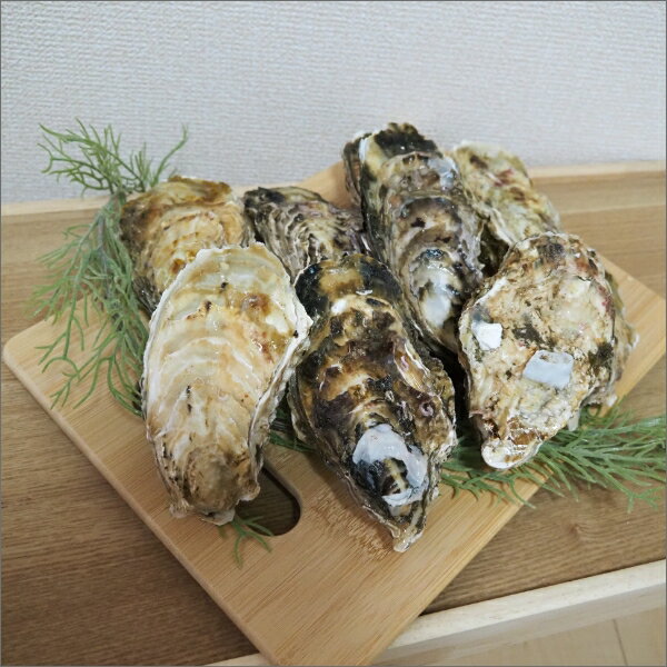 北海道知内産/生牡蠣/M50個/殻付き/生食用（90〜130g目安） 3