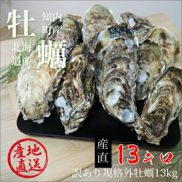 北海道　生食用　殻付牡蠣　訳あり