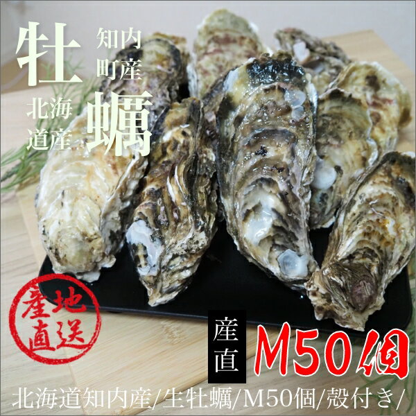 北海道知内産/生牡蠣/M50個/殻付き/生食用（90〜130g目安） 1