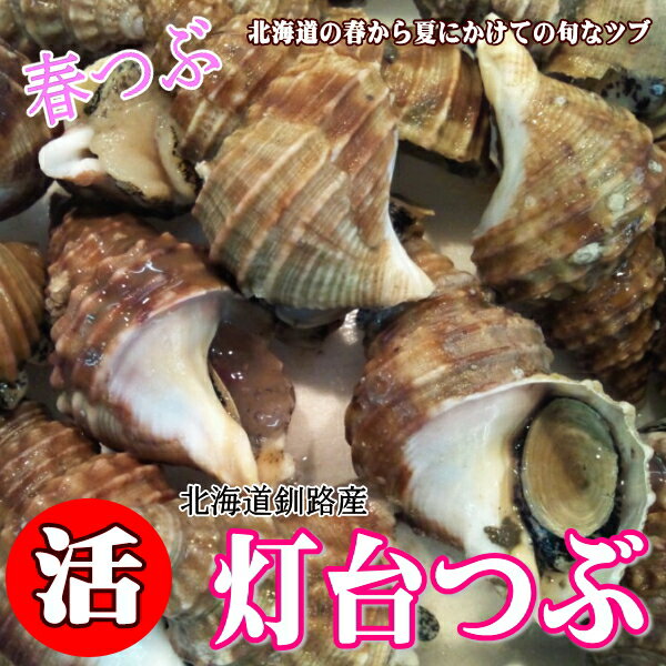 つぶ燻【56g×3個】三協印カトウ食品 北海道 お土産 つぶ 燻製 おやつ お菓子 珍味 おつまみ 肴 ギフト プレゼント お取り寄せ 送料無料