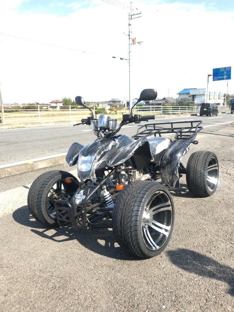 新車 ATV バギーカスタム 14インチ