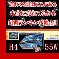 [※]【クーポン割引対象外】KINGWOOD 55W H11/HB3/HB4 HIDコンバージョンキット【デジタルIC薄型バラスト採用】【55Wハイパワー！】[2]