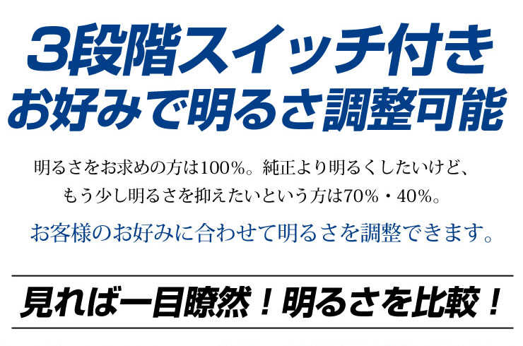 [RSL]【あす楽対応】 クラウン 210系(前期型) 専用設計 LED ルームランプ セット ロイヤル アスリート ハイブリッド 全グレード対応 (サンルーフ 有り/無しにも対応)【専用工具付】送料無料