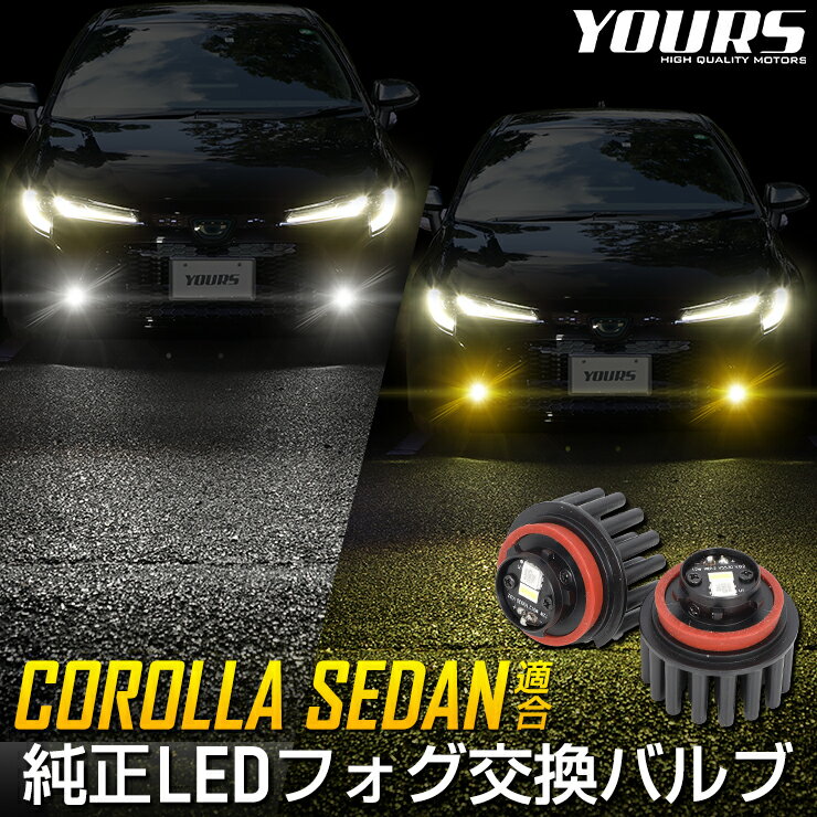 2520%OFFۡ10%OFFۥ饻 饹ݡ Ŭ LEDե׸ѥХ L1B  ...