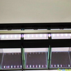 LEDライト付きベタ水槽(5部屋)