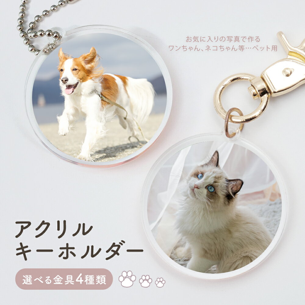 ۥ ̿ץ쥼 ڥå  ǭ  ǭ  ϥॹ Ļ ϥͥ  ưʪ ڥåȥå ̿ꥰå ...
