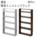 【送料無料】薄型　壁面ミニコミックラック　幅45cm【P10】