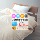 羽毛布団 クイーン クィーン 2枚合わせ 肌布団 合掛け布団 ホワイトダウン ニューゴールドラベル 340dp以上 軽量生地 オールシーズン 日本製【P2】(3)
