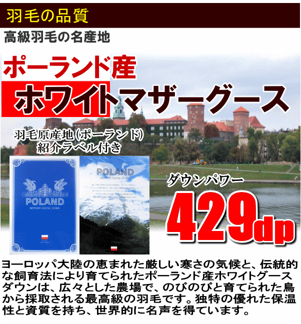 【送料無料】布団セット セミダブル ポーランド産ホワイトマザーグース ロイヤルゴールド 429dp 日本製 羽毛布団 敷布団 枕【P2】