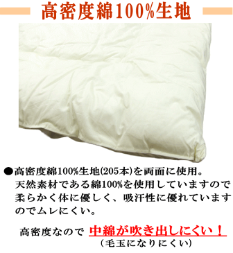【送料無料】敷きパッド 5人用 280×200cm フィルハーモニー 抗菌 防臭 防ダニ 綿100生地使用 ふかふか ファミリー対応【P2】