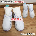 シューズクリーン 消臭達人 極 消臭 抗菌 介護 10大消臭約8x25x5cm 日本製【P2】