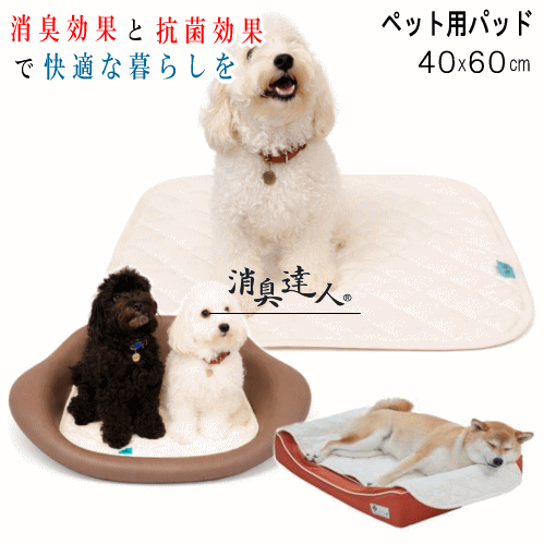 乐天商城 - パッド ペット用パッド 消臭達人 40x60cm 消臭 抗菌 ペット わんにゃんパッド 介護 13大消臭 日本製