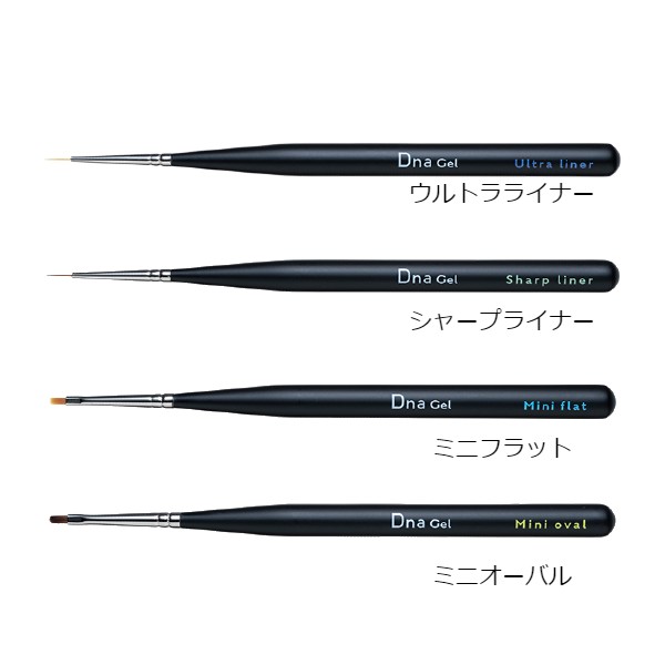 [�ǥ����ʥ����� Dna Gel]������֥饷�ڥ饤�ʡ�/�ߥ˳Ƽ��