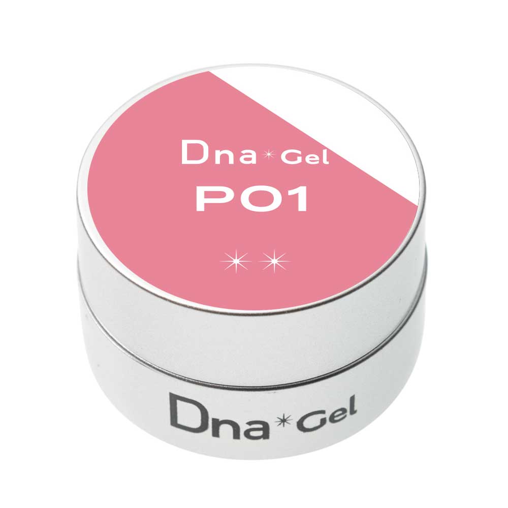 [ǥʥ Dna Gel]顼 2.5g/P(ѡ륷꡼)ƿ