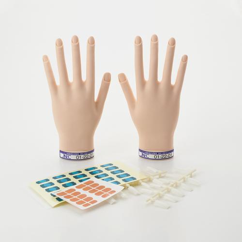 STモデルハンド /両手セット(JNEC 第1期認定モデルハンド)【ネイリスト検定】