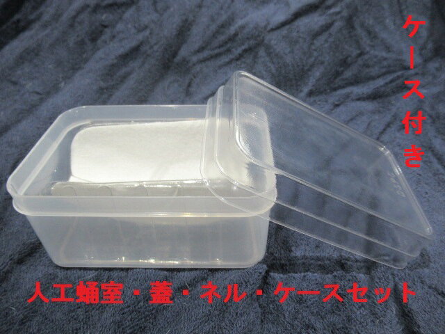 乐天商城 - B0：人工蛹室 DSPC（透明PETタイプ）大（改）1セット【オオクワメス・♂小型用】