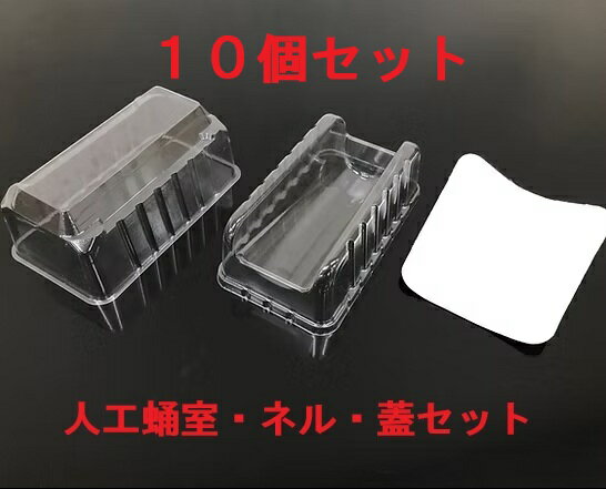 H：人工蛹室 DSPC（透明PETタイプ）CL 蓋付き10個セット【オオクワ♂大用】