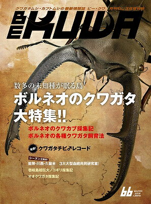 送料無料!★代引き不可【絶版】ビークワ66号 むし社発行