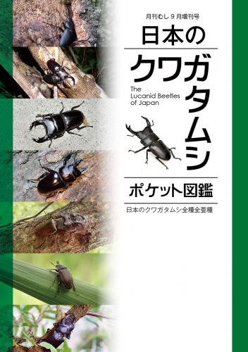 送料無料！★代引き不可　日本のクワガタムシ・ポケット図鑑◆むし社発行新品