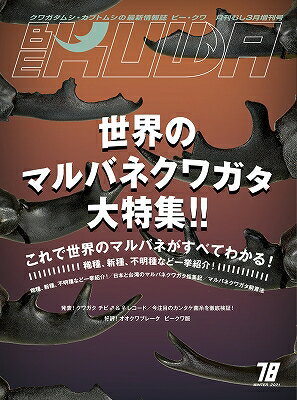 送料無料★代引き不可【絶版】ビークワ78号　BE-KUWA78号