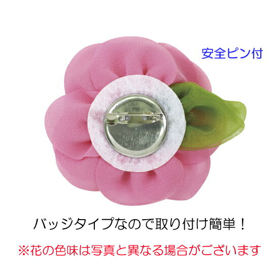 ���������塡�Хå��ΥХå������סϡʰ����ԥ��աˡڥͥ��ݥ��б�20�Ĥޤǡ�