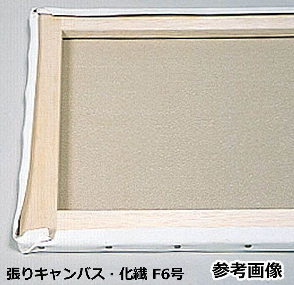 張りキャンバス F6号