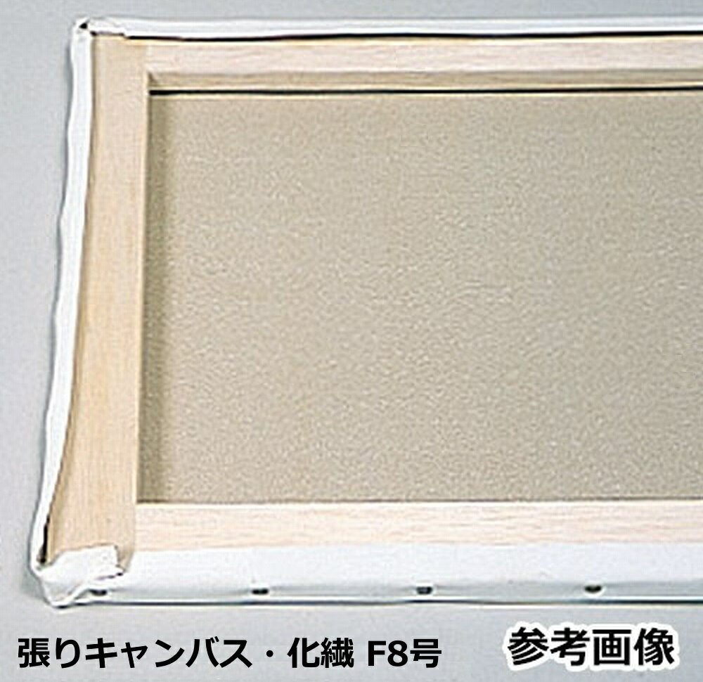 樂天商城 - 張りキャンバス　F8号