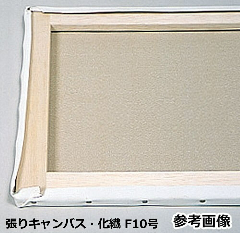 乐天商城 - 張りキャンバス　F10号