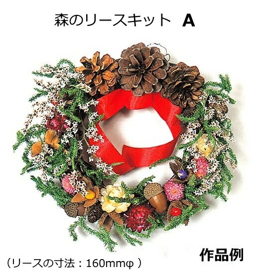 【キット3個につき1本木工用ボンドをおまけでプレゼント】手作りクリスマスリースキット　森のリースキット　A【大量注文可】