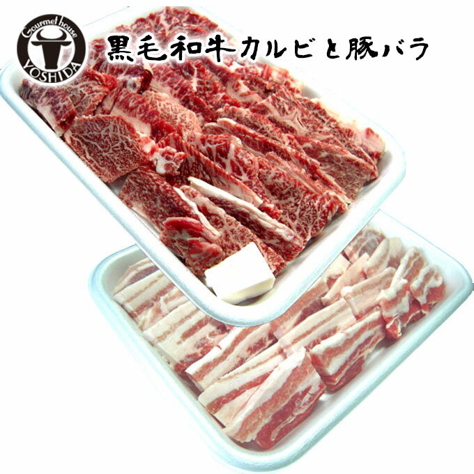 国産 黒毛和牛カルビ+もち豚バラ 計1kg 『満腹 焼肉セット』冷凍便 肉 プレゼント 焼き肉 野外 バーベキュー キャンプ アウトドア おうち焼肉