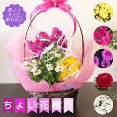 https://thumbnail.image.rakuten.co.jp/@0_mall/auc-87navi/cabinet/87navi-top/imgrc0077107515.jpg