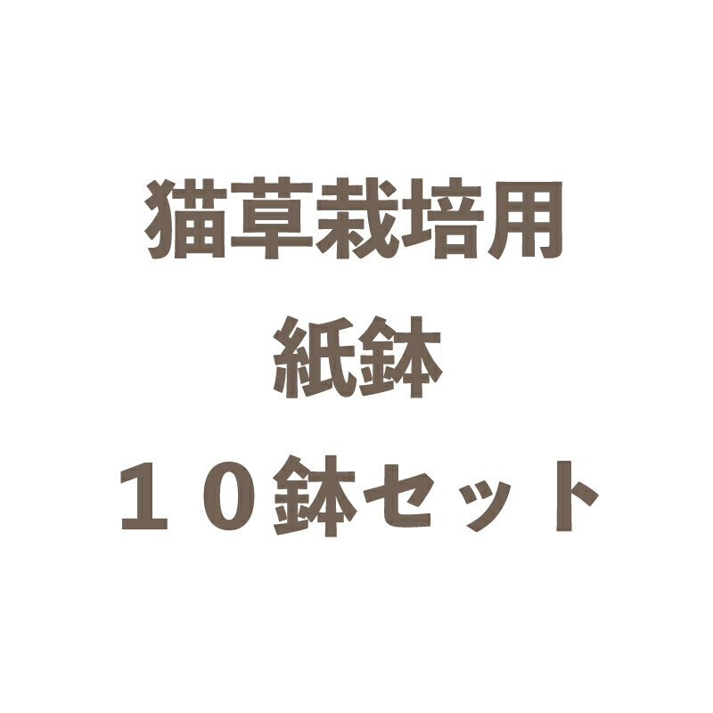 猫草栽培用紙鉢エコ ねこ草 ネコ草 ペットグラス